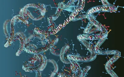 AICAR Peptide And The Energy Metabolism Of Different Cell Types