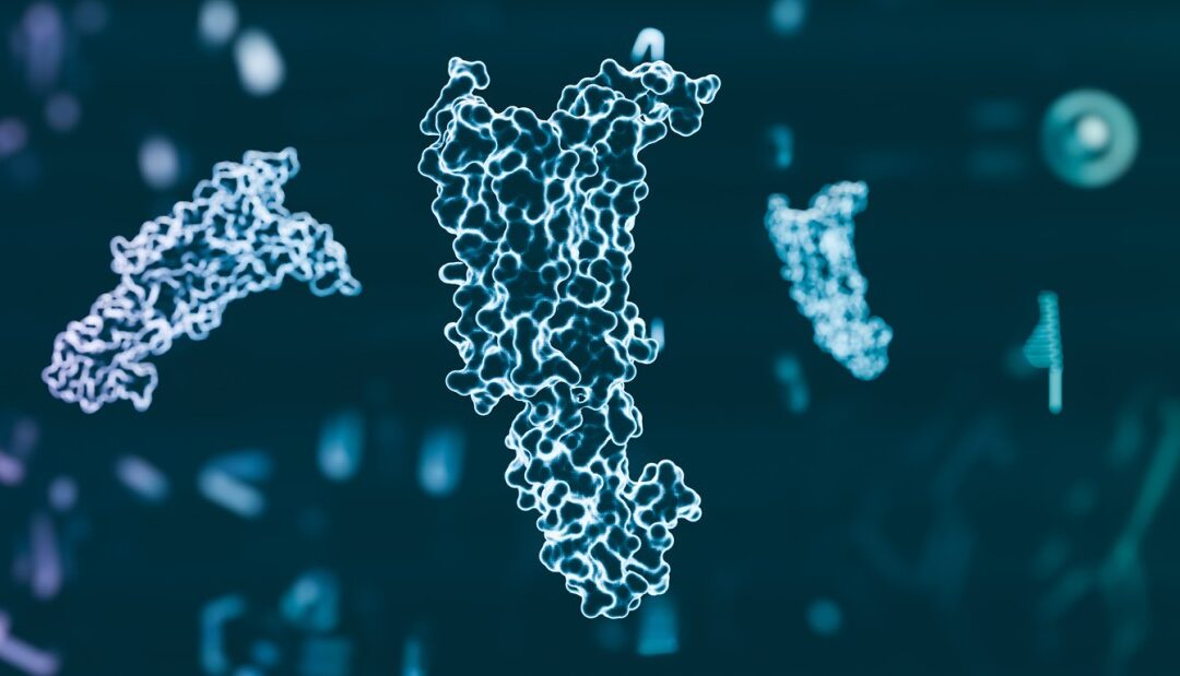 Cartalax Peptide: Potential Implications for Cellular Aging, Renewal, and Resilience to Stress