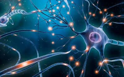 Protirelin (Thyrotropin TRH) and Brain Cell Signaling