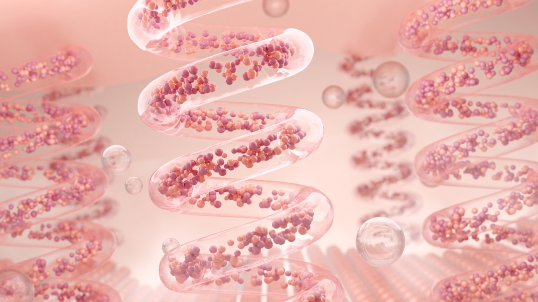 Tripeptide-3 (Syn-AKE) Actions on Muscular Tissue Contraction and Dermal Topography